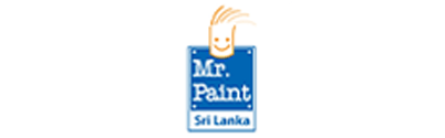 Mr paint