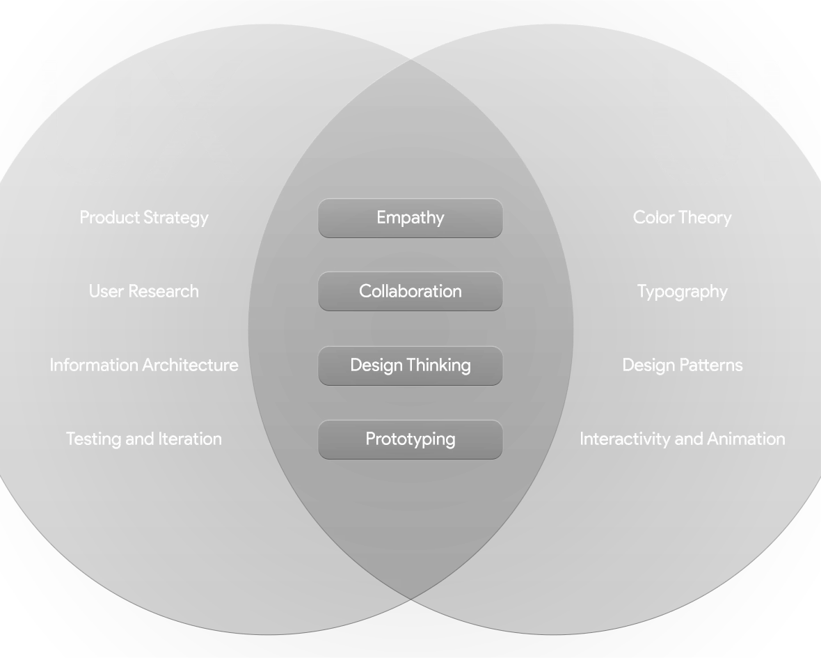 UI/ UX design